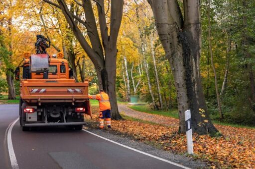 Şile Orman Yollarında Araç Kurtarma İşlemi Neden Profesyonel Yapılmalı? — İstanbul Acil Oto Çekici - 0532 712 95 81